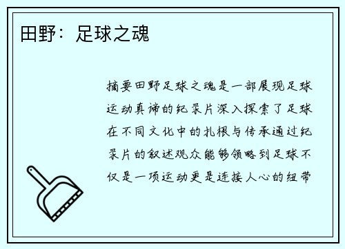 田野：足球之魂