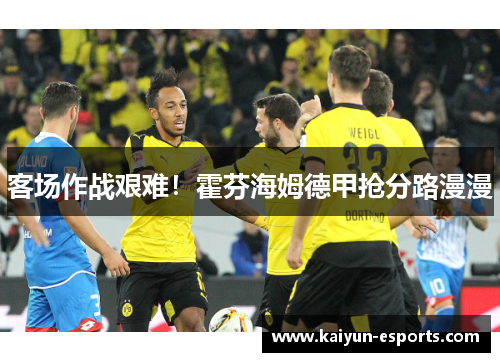 客场作战艰难！霍芬海姆德甲抢分路漫漫