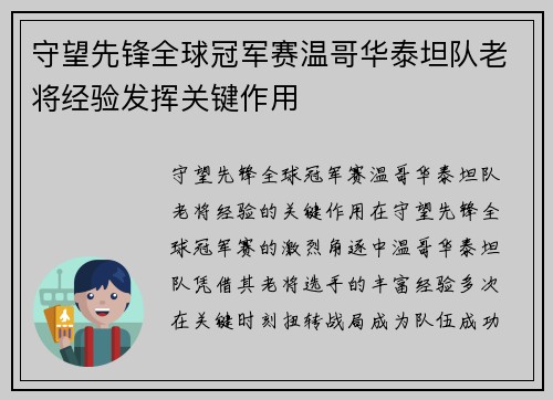 守望先锋全球冠军赛温哥华泰坦队老将经验发挥关键作用