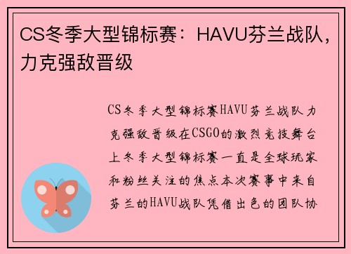 CS冬季大型锦标赛:HAVU芬兰战队,力克强敌晋级