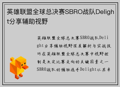英雄联盟全球总决赛SBRO战队Delight分享辅助视野