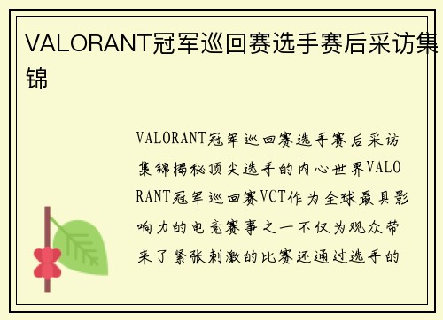 VALORANT冠军巡回赛选手赛后采访集锦